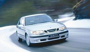 美洲豹的生存挑战,丛林中的生存挑战与适应之道