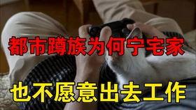 美人引陷,一场宫廷权谋的华丽陷阱