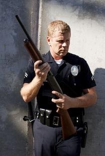 南城警事 第三季,第三季——正义之光再起航